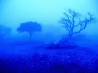 Blue fog.webp