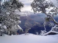 Snow in Canyon.webp