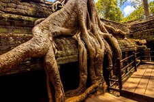 angkor-2326-edit.jpg