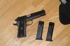 Guns 006 (Medium).jpg