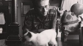 JAMES-DEAN-CAT-PIC-300x168.jpg