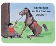 stubborn%u002520mule.webp