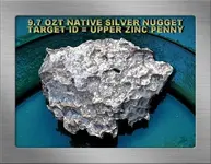 9.7 OZT NUGGET REVSF19PANYGG.webp