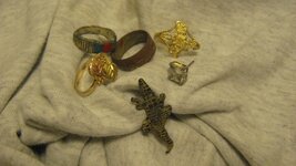 Two Gold Rings Tow Junkers Gator Pin Dec 13 2015 004.JPG