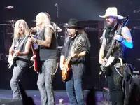 skynyrd.webp