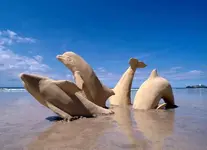 dolphin_sand_art.webp