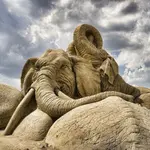 elephant sand sculpture.webp