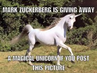 Unicorn.jpg