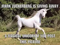 Unicorn.webp