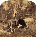 camping in a log.webp