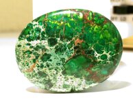 jungle agate_1 (1).jpg