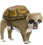 Tortoise-Dog-Costume.webp