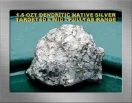 1.5 OZT DENDRITIC SILVER SF17PANYYGN.webp