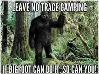 Leave No Trace.webp