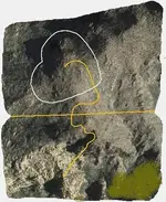 stone trail map.webp