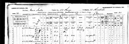 1891 census of canada.webp