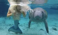 mermaid-melissa-manatee-smile-video.webp