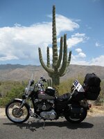 HarleySportster1200InTucson.jpg