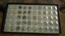 fossil tray.jpg