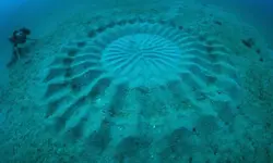 circles-underwater.webp