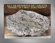 22.1 LB DENDRITIC AG CA SF18MYG.webp