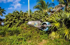 castaway-cay-airplane.webp