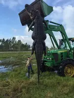 gator_FL-15ft.webp