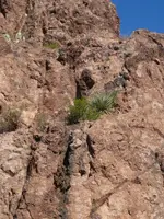 Rock House area Cliff Wall 2.webp