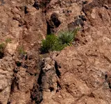 Rock House area Cliff Wall 2crop.webp