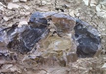 Chert-nodule_semitransparent_flint-in-chalk.jpg