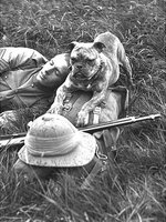 _71833720_eu006978_topfoto_sentry_dog.jpg