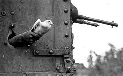 ww1-pigeon-tank_2788228b.jpg