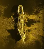 indian-ocean-sonar-shipwreck.webp