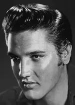 ELVIS.webp