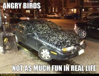 Angry Birds.jpg