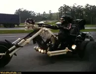 Skeleton Motorcycle.webp