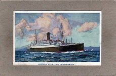 Anchor-Line-TSS-California-Oceanliner-1920-era-Postcard.jpg