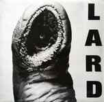 lard.jpg