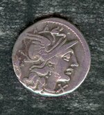 Cupiennius_Denarius_front.jpg