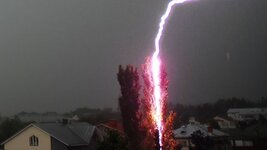 tree hit by lightning.jpg