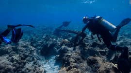 2016-04-07 03_58_27-underwater ship debris fields - Google Search.png