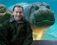 hippo-smile.webp