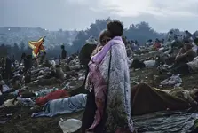 Woodstock4-1024x689-1024x689.webp