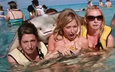 best-stingray-photobomb-ever-resizecrop-.webp