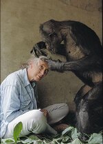 12-jane-goodall-international-womens-day.jpg