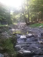 Buffalo Brook bedrock.webp