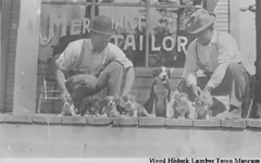 puppies1910.webp