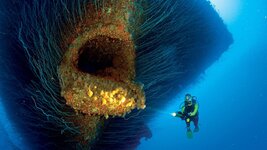 Open-Mouth-Wreck-of-USS-Saratoga.jpg