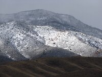 MingusFreshSnow2-20-11_3.jpg