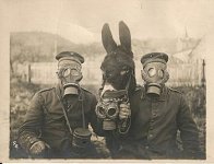 gas masks.jpg